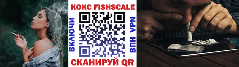 дарнет шоп  Долгопрудный  Кокаин FishScale 