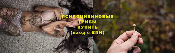 гидра Баксан