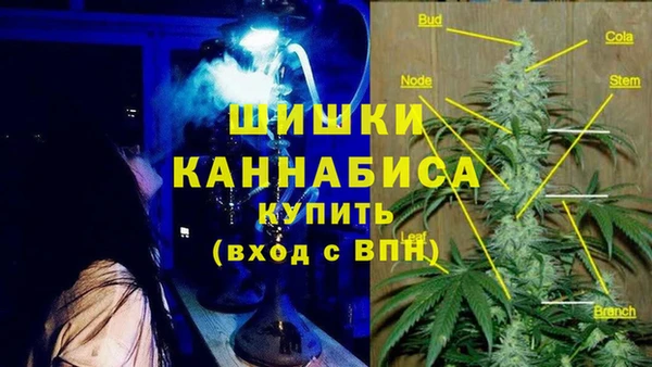 СК Нефтегорск