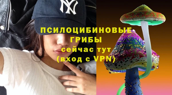 метадон Нея