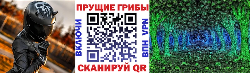 Псилоцибиновые грибы MAGIC MUSHROOMS Долгопрудный