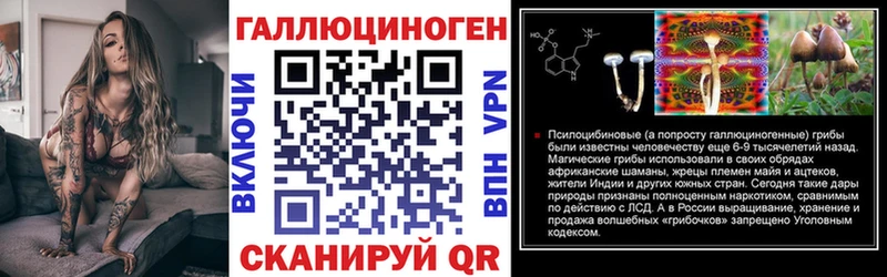 МЕГА онион  Долгопрудный  Галлюциногенные грибы GOLDEN TEACHER  наркотики 